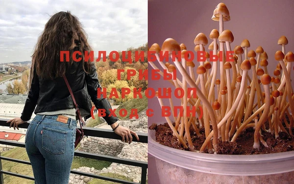 mdpv Абинск